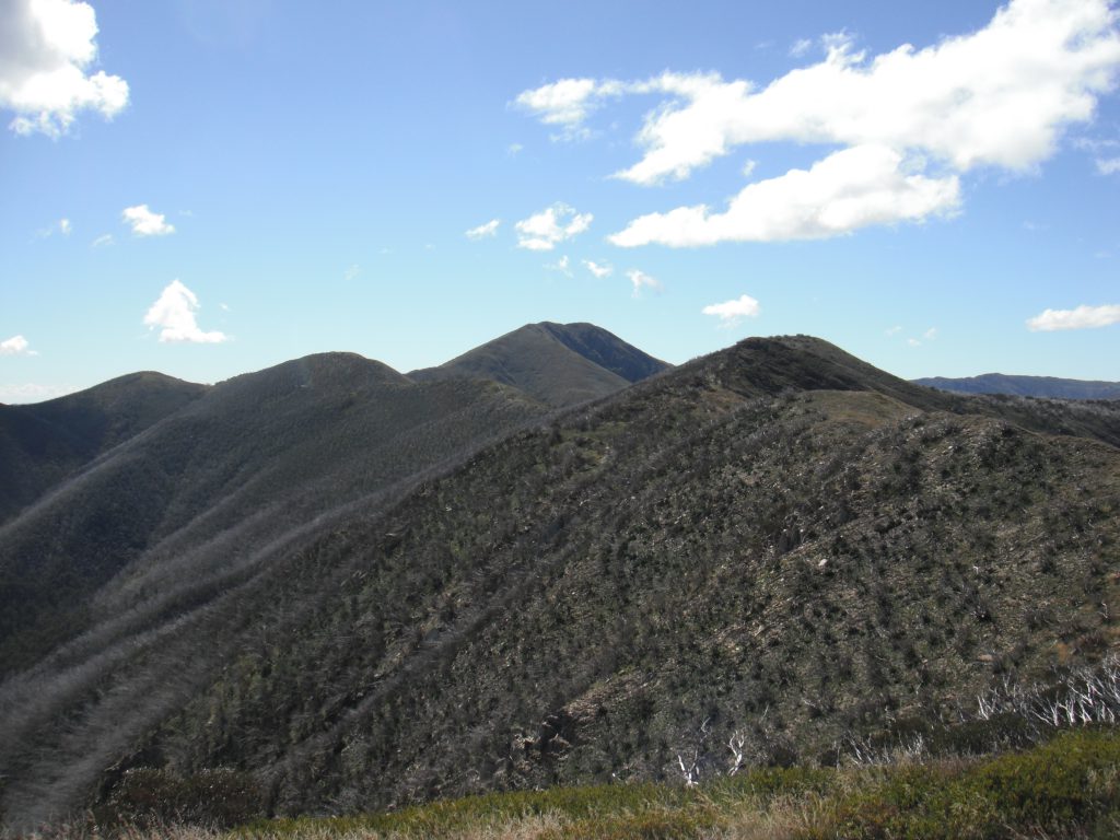 About halfway along the razorback with Mt Feathertop in the distance